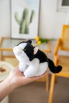 Authentic Very Precious plush toy, 18cm, Xiangxiang three-posture black and white cat doll, popular Xiangxiang animal doll, cute doll table companion, gift cloth doll Specification image